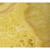 Honey Onyx Tile