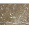 Emperador Light Marble Tile