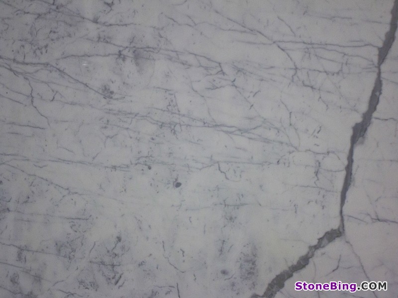 Statuarietto Marble Tile