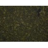 Verde Butterfly Granite Tile