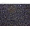 Volga Blue Granite Tile