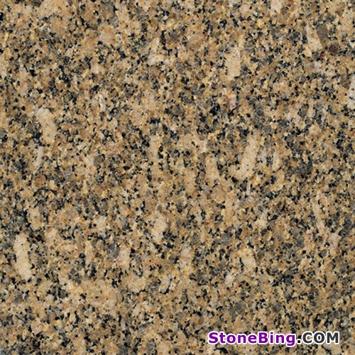 Carioca Gold Granite Tile