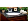 Blue Butterfly Vanity Top