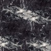 Grigio Carnico Marble Tile