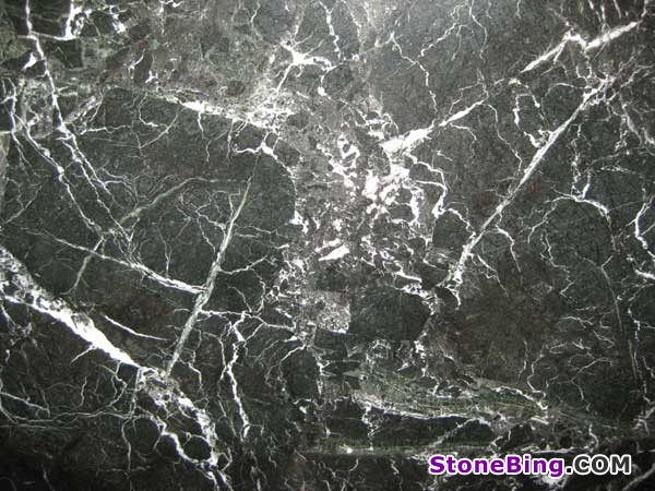 Black Levanto Marble Tile