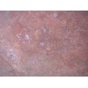 Red Travertine Tile