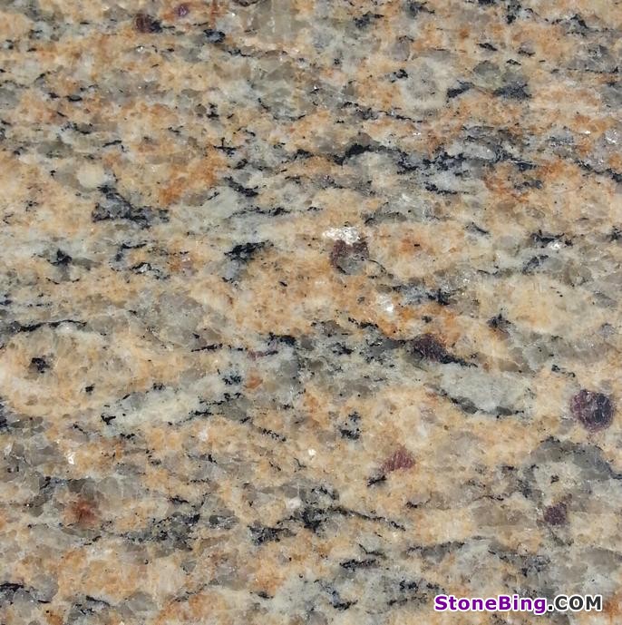 St. Cecilia Granite Tile