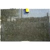 Peecock Green Granite Slab