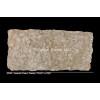 Amaretto Cream Granite Slab