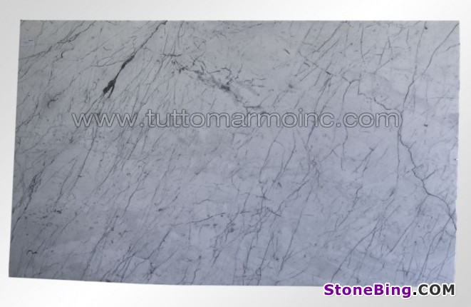 Statuario Marble Slab