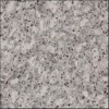 Chiffon White Granite Tile