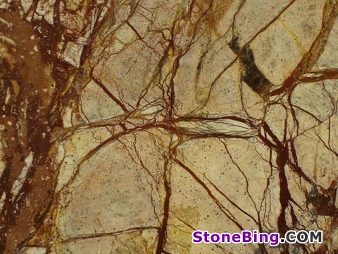 Rainforest Brown Marble Tile