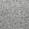 Bianco Santiago Granite Tile