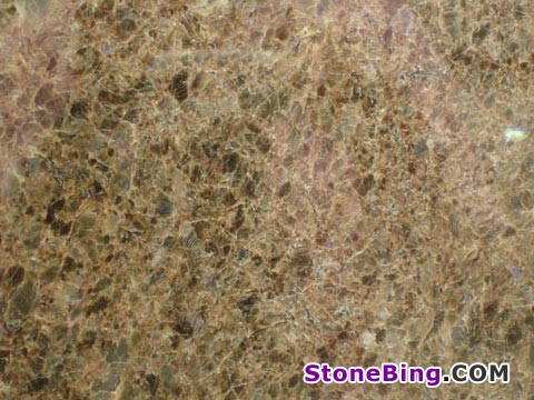 Labrador Antico Granite Tile