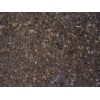 Autumn Wheat Granite Tile