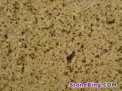 Golden Leaf Granite Tile