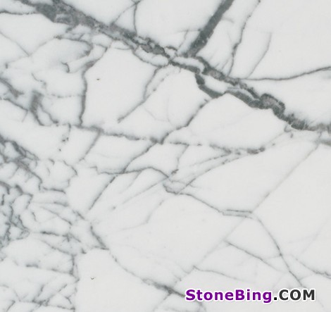 Bianco Venatino Marble Tile