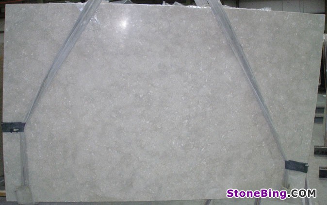 Fossil Limestone Slab