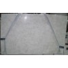 Fossil Limestone Slab