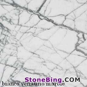 Bianco Venatino Marble Tile