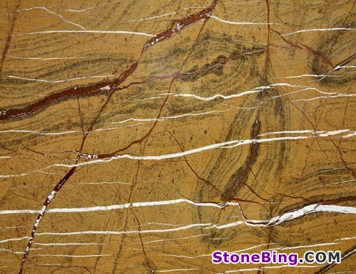 Rainforest Gold Marble Tile
