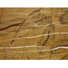 Rainforest Gold Marble Tile