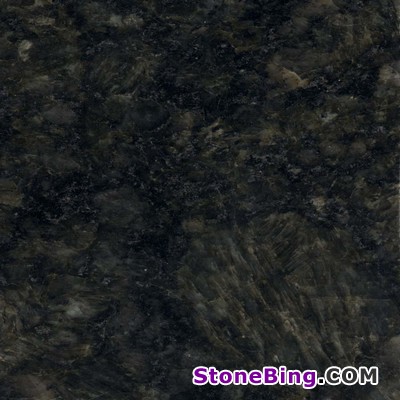 Butterfly Green Granite Tile