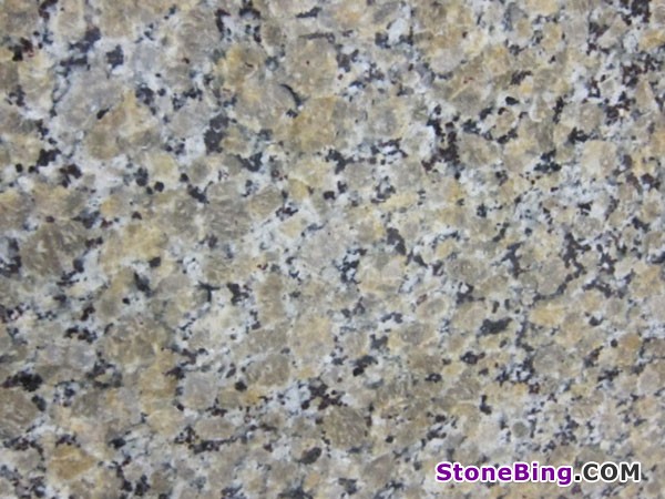 Butterfly Beige Granite