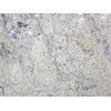 Bianco Romano Granite