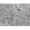Alaska White Granite