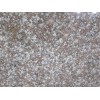 Copper Rose Granite Tile