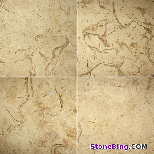 Santa Katrina Limestone Tile