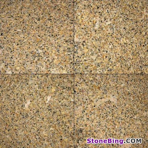 Giallo Antico Granite Tile