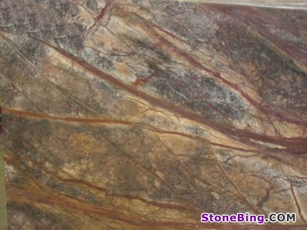 Rain Forest Brown Marble Slab