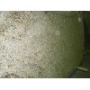 New Venetian Gold Granite Slab