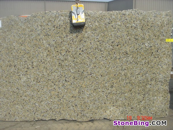 Butterfly Beige Granite Slab