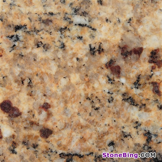 Venetian Gold Granite