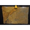 Copper Desert Granite Slab