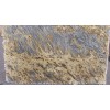 Amarillo Jaguar Granite Slab