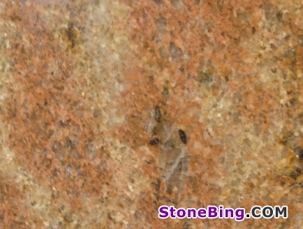 Madura Gold Granite Tile