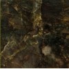 Butterfly Green Granite Tile