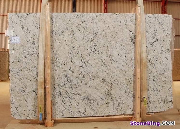Delicatus White Granite Slab