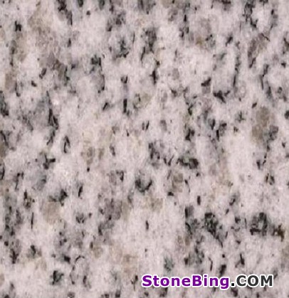 Artic White Granite Tile