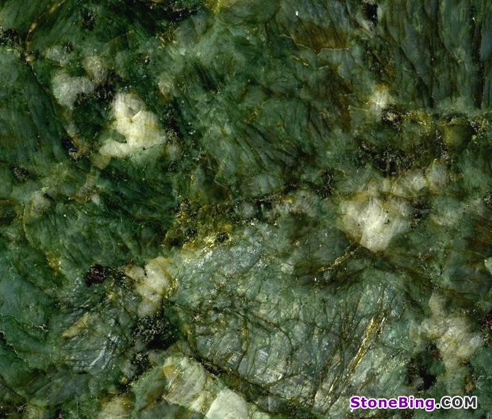 Green Butterfly Granite Tile