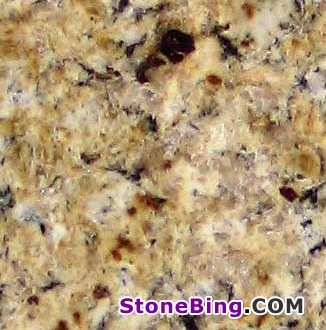 New Venician Gold Granite Tile