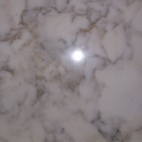 Calcutta Gold Marble Tile