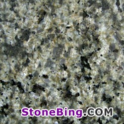 China Green Granite Tile