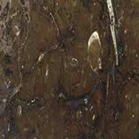 Fossile Brown Marble Tile