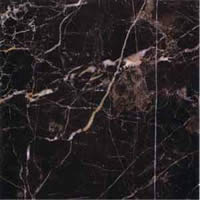 Noir Saint Laurent Marble Tile