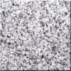 White Beauty (G603) Granite Tile